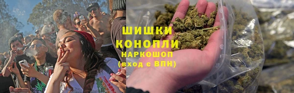 гидропоника Богданович