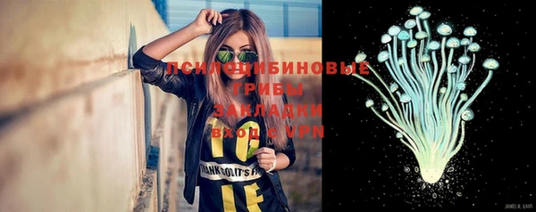 гидропоника Богданович