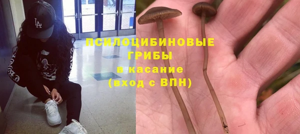 индика Белоозёрский