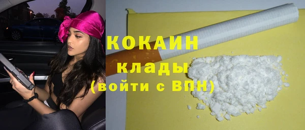 шишки Богородск