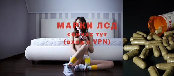 шишки Богородск