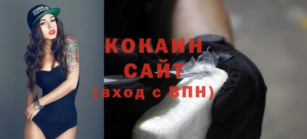 гидропоника Богданович
