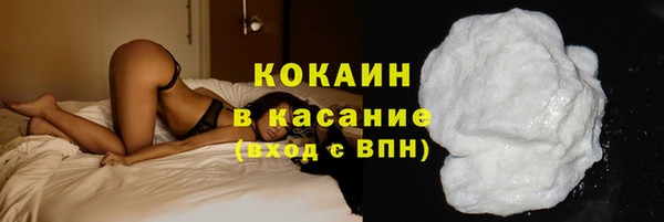 шишки Богородск