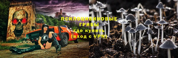 шишки Богородск