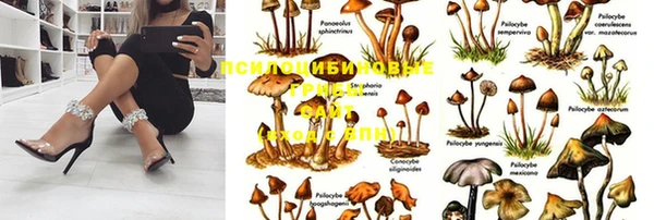 бошки Семикаракорск