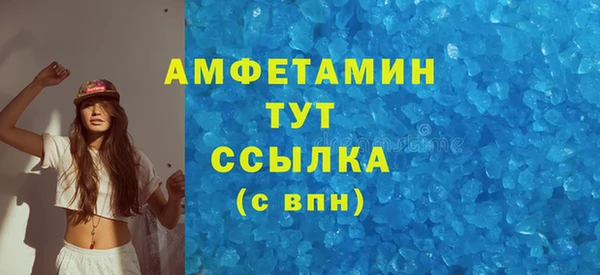 шишки Богородск