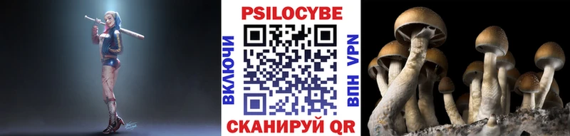 Псилоцибиновые грибы Psilocybe  blacksprut ссылки  Балахна 